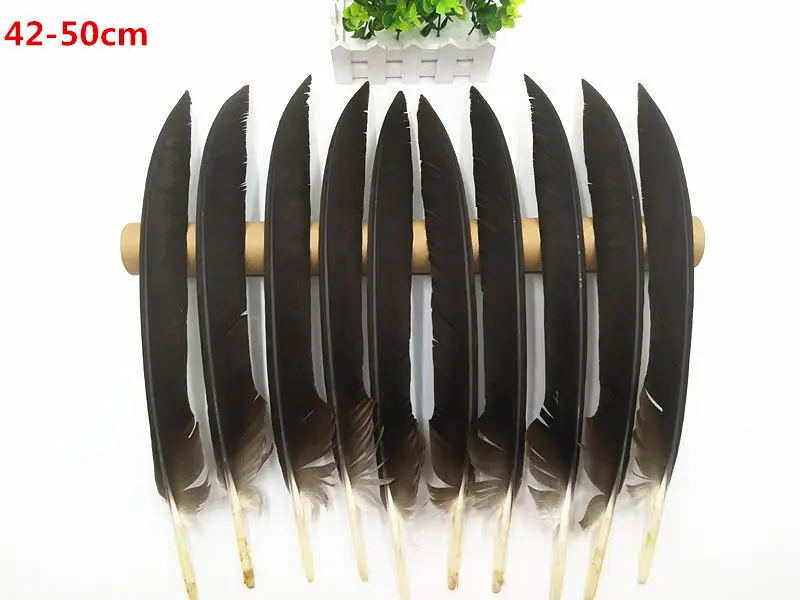 Free Shipping 10-50pcs Scarce Natural Eagle Feather, 17-24 inches long / 42-60 cm, DIY decoration/festive party accessories
Free Shipping 10-50pcs Scarce Natural Eagle Feather, 17-24 inches long / 42-60 cm, DIY decoration/festive party accessories
