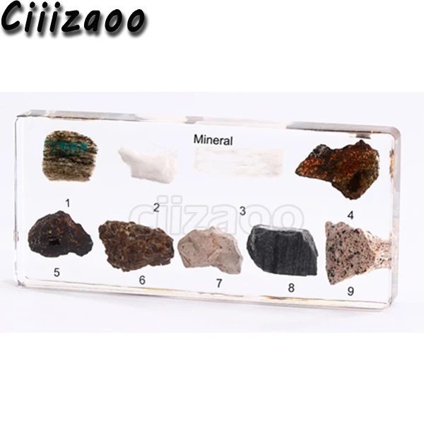 Mineral Specimen paperweight Taxidermy Collection embedded In Clear Lucite Block Embedding Specimen
Mineral Specimen paperweight Taxidermy Collection embedded In Clear Lucite Block Embedding Specimen
