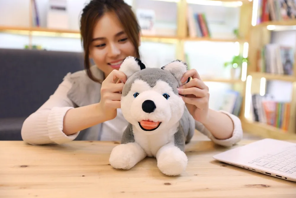 about 50cm gray husky dog plush toy down cotton prone husky soft doll sofa pillow birthday gift s2854
about 50cm gray husky dog plush toy down cotton prone husky soft doll sofa pillow birthday gift s2854