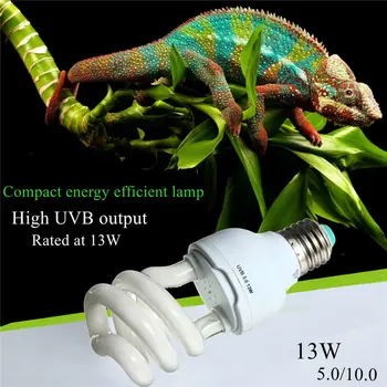 Heat Emitter Ultraviolet Light Bulb E27 5.0 10.0 UVB 13W Pet Reptile Light Glow Lamp Daylight Bulb for Tortoise Fish Amphibians
Heat Emitter Ultraviolet Light Bulb E27 5.0 10.0 UVB 13W Pet Reptile Light Glow Lamp Daylight Bulb for Tortoise Fish Amphibians