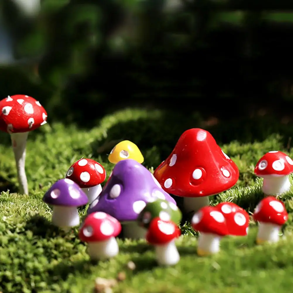 Miniature Mushroom Micro Landscape Bonsai Succulent Plants Mini Garden DIY Decor
Miniature Mushroom Micro Landscape Bonsai Succulent Plants Mini Garden DIY Decor