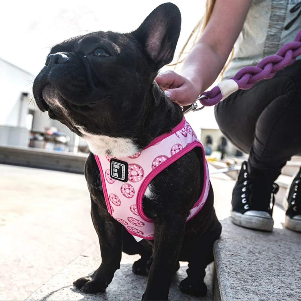 Dog Cat Pet Vest Harness Adjustable Breathable Soft Dogs Harness For Small and Medium Dog Cat Pet Vest Collar Supplies
Dog Cat Pet Vest Harness Adjustable Breathable Soft Dogs Harness For Small and Medium Dog Cat Pet Vest Collar Supplies