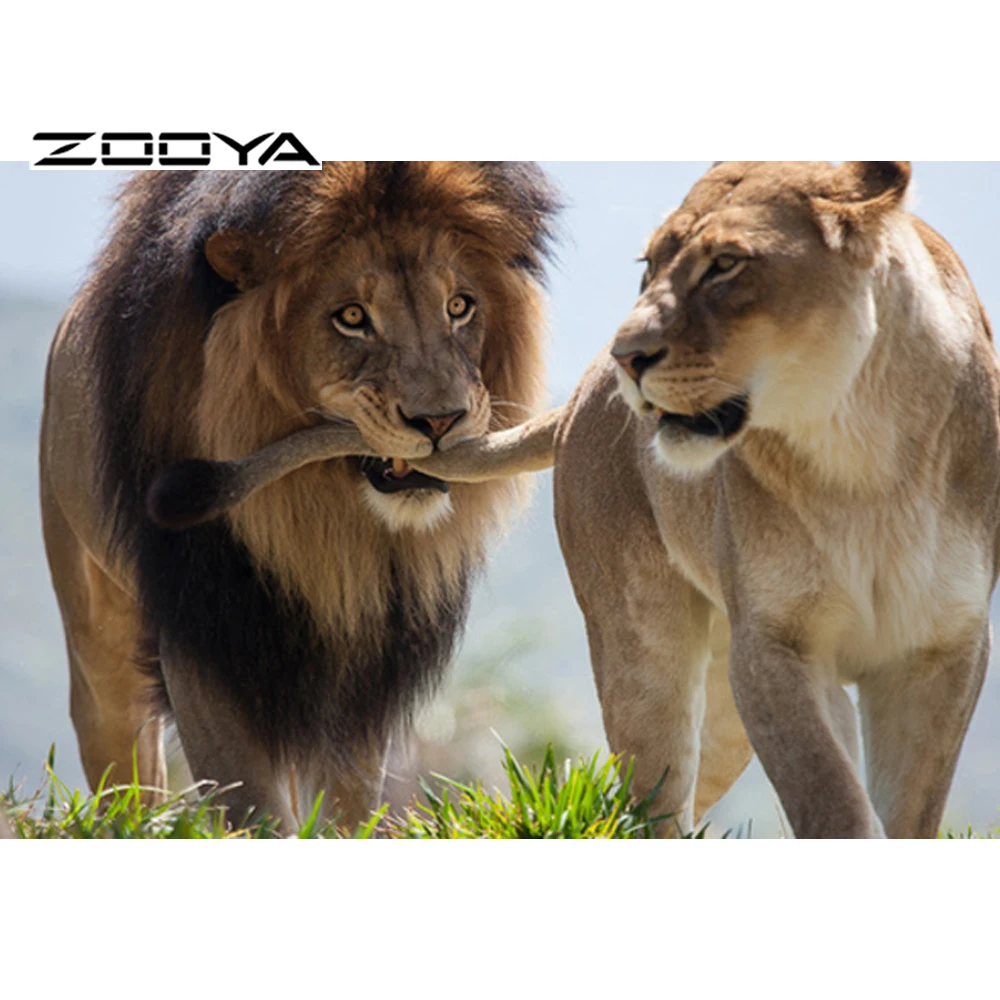 ZOOYA Diamond Mosaic Handmade Cross Stitch Crystal Diamond Sets Unfinished Decorative Full Diamond Embroidery 5D Two Lions RF407
ZOOYA Diamond Mosaic Handmade Cross Stitch Crystal Diamond Sets Unfinished Decorative Full Diamond Embroidery 5D Two Lions RF407