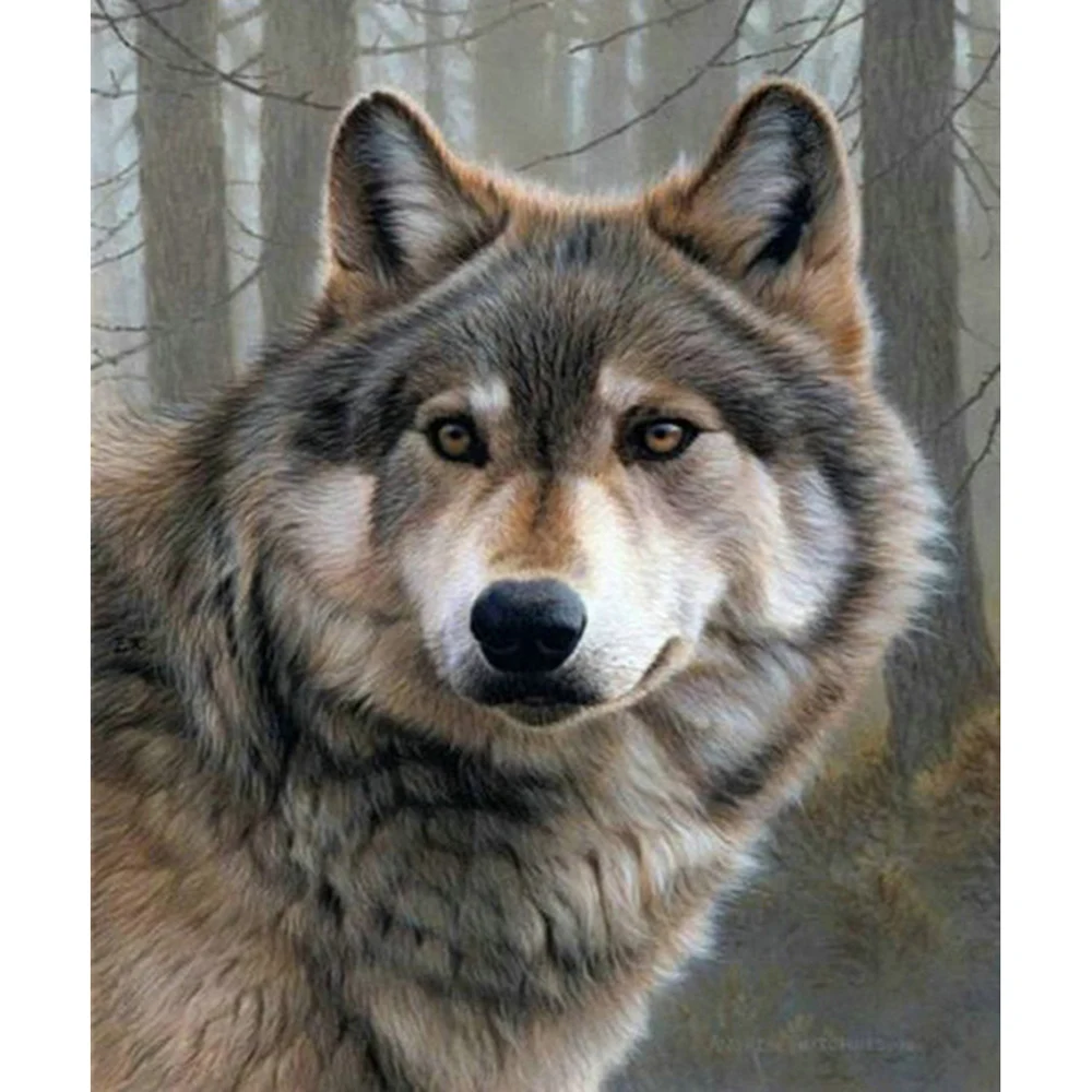 DIY 5D Full Diamond Painting Cross Stitch Wolf Mosaic Diamond Embroidery Needlework Patterns Rhinestone kits
DIY 5D Full Diamond Painting Cross Stitch Wolf Mosaic Diamond Embroidery Needlework Patterns Rhinestone kits