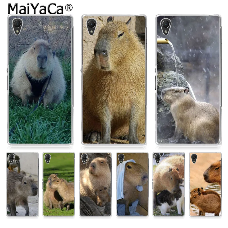 MaiYaCa Animal Capybara Coque Shell Phone Case for Sony z2 z3 z4 z5 z5C LG G3 G4 G5 MOTO G4 G Play
MaiYaCa Animal Capybara Coque Shell Phone Case for Sony z2 z3 z4 z5 z5C LG G3 G4 G5 MOTO G4 G Play