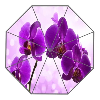 New Arrive Custom Beautiful orchid Umbrellas Creative Design High Quality Foldable Rain Umbrella
New Arrive Custom Beautiful orchid Umbrellas Creative Design High Quality Foldable Rain Umbrella