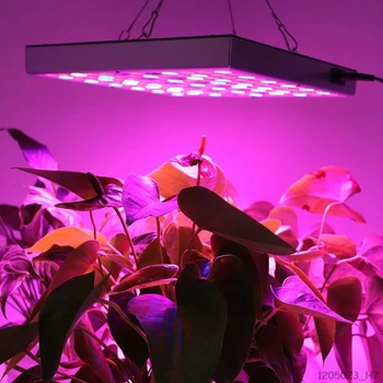 45W LED Plant Grow Light Full Spectrum Hydroponic Lamp For Indoor Veg Flower Greenhouse
45W LED Plant Grow Light Full Spectrum Hydroponic Lamp For Indoor Veg Flower Greenhouse