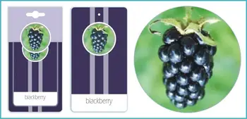 Free Shipping Via Fedex , Wholesale Paper Air Freshener , Hanging Paper Perfume
Free Shipping Via Fedex , Wholesale Paper Air Freshener , Hanging Paper Perfume