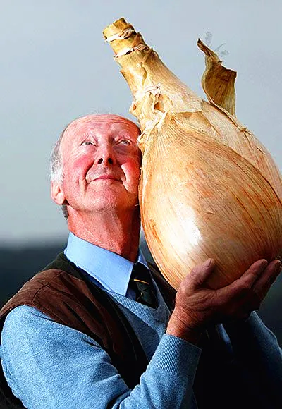 100 Pcs Giant Onion Bonsai Onion Shallot Organic Heirloom Fruit Vegetable Bonsai Potted Plants Home Garden Plant
100 Pcs Giant Onion Bonsai Onion Shallot Organic Heirloom Fruit Vegetable Bonsai Potted Plants Home Garden Plant