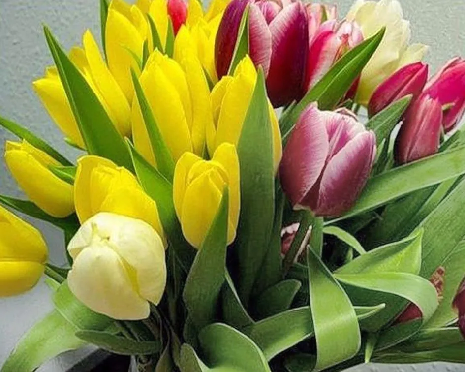 5D DIY Diamond Embroidery Full Tulips Painting Flower With Diamant Schilderen Picture By Numbers Cross Stitch Square/round
5D DIY Diamond Embroidery Full Tulips Painting Flower With Diamant Schilderen Picture By Numbers Cross Stitch Square/round