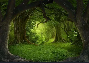Deep Tropical Jungles Of Southeast Forest backdrops Vinyl cloth High quality Computer print wedding Background
Deep Tropical Jungles Of Southeast Forest backdrops Vinyl cloth High quality Computer print wedding Background