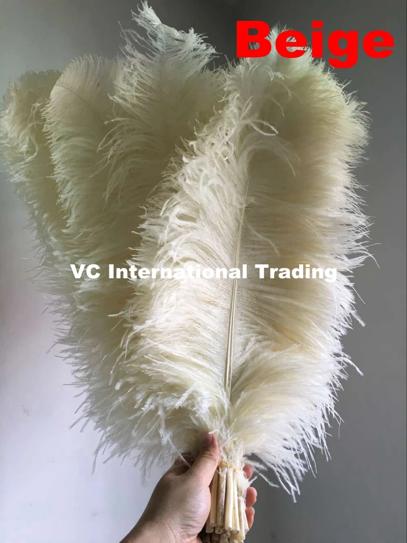 Beige Color Dyed Ostrich Feahters 50-55cm 20-22inch DIY Ostrich plumes for wedding&Party centerpieces Vase feathers 100pc/lot
Beige Color Dyed Ostrich Feahters 50-55cm 20-22inch DIY Ostrich plumes for wedding&Party centerpieces Vase feathers 100pc/lot