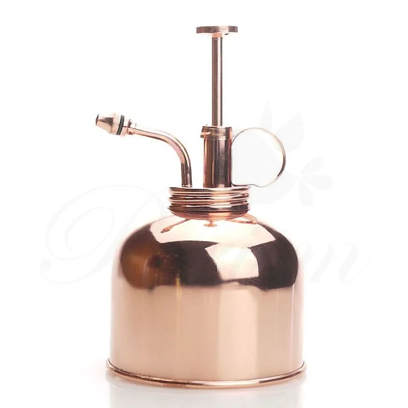 Retro Pure Gold Copper Watering Pot Succulent Small Fine Water Spray Bottle Gardening Supplies
Retro Pure Gold Copper Watering Pot Succulent Small Fine Water Spray Bottle Gardening Supplies