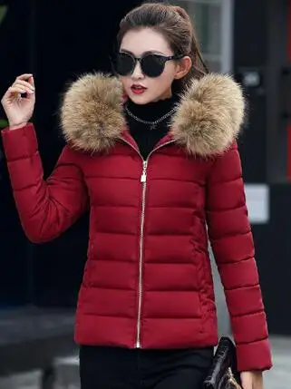 QQ20181016120706