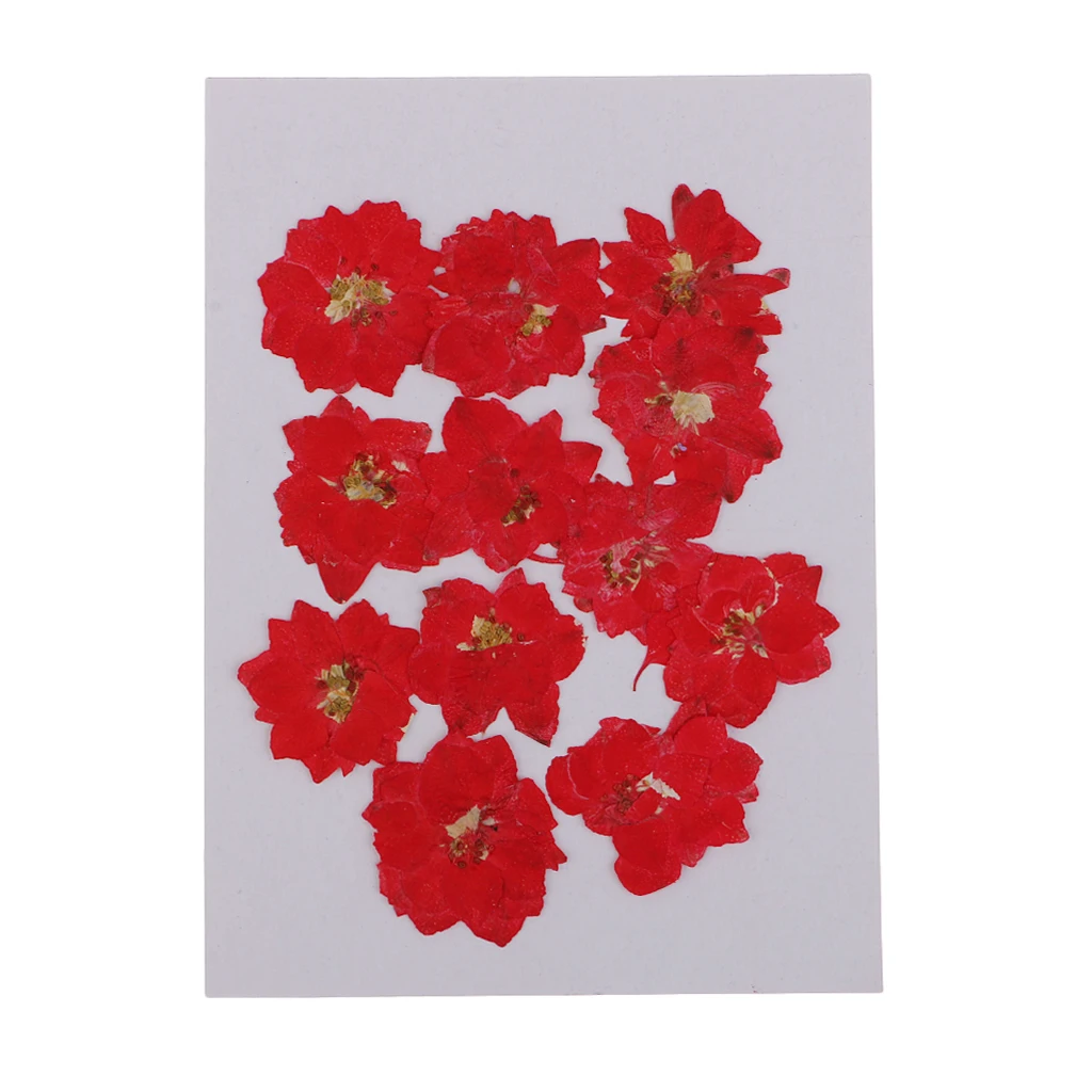 12 Pieces Pressed Dried Real Flower Larkspur for Bookmark ,Card Making and Resin Casting Handmade Craft
12 Pieces Pressed Dried Real Flower Larkspur for Bookmark ,Card Making and Resin Casting Handmade Craft