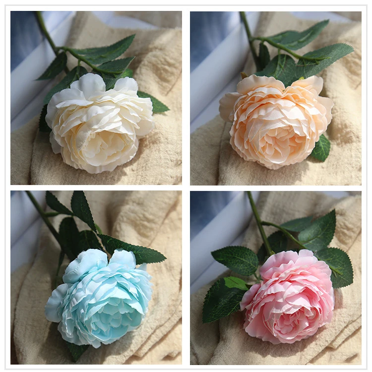 C0740 (7)