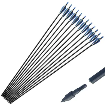 12PCS Glass Fiber Arrow Spine 500 32" Length with Replaceable Arrowhead Tips for Compound / Recurve Bow Archery Shooting Darts
12PCS Glass Fiber Arrow Spine 500 32" Length with Replaceable Arrowhead Tips for Compound / Recurve Bow Archery Shooting Darts