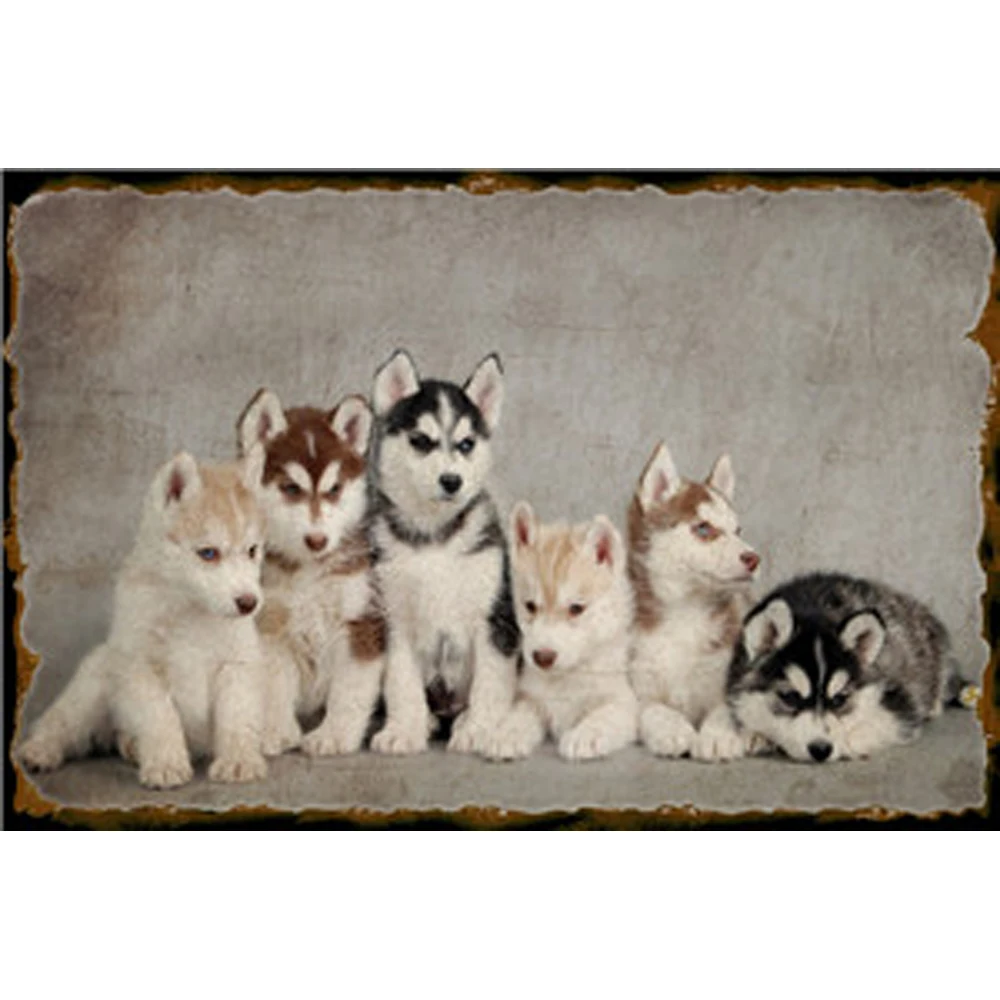 Puppy Shabby Chic Metal Poster Wall Plaques Dog Vintage Metal Tin Sign Art Bar Pub Iron Painting Posters Wall Decor Plate
Puppy Shabby Chic Metal Poster Wall Plaques Dog Vintage Metal Tin Sign Art Bar Pub Iron Painting Posters Wall Decor Plate