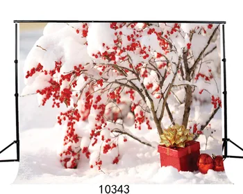 Christmas Background Vinyl Photography Backdrops Computer Printed Christmas Gifts Box Outdoor for Photo studio Party for Baby
Christmas Background Vinyl Photography Backdrops Computer Printed Christmas Gifts Box Outdoor for Photo studio Party for Baby