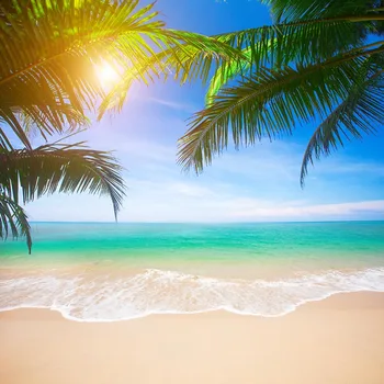 Hawaiian Style Photography Background Palm Leaves Blue Sky White Clouds Clear Water Gloden Sand And Bright Sunlight Bacdrop
Hawaiian Style Photography Background Palm Leaves Blue Sky White Clouds Clear Water Gloden Sand And Bright Sunlight Bacdrop