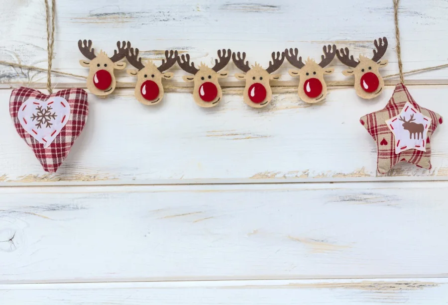 Laeacco Christmas Wooden Board Deer Star Pendant Baby Photography Background Customized Photographic Backdrop For Photo Studio
Laeacco Christmas Wooden Board Deer Star Pendant Baby Photography Background Customized Photographic Backdrop For Photo Studio