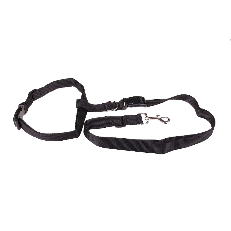 Best Quality Traction Pulling Leash Dog Running Jogging Convenient Safe Laisse Pour Chien Pet Cat Harness Dog Accessories
Best Quality Traction Pulling Leash Dog Running Jogging Convenient Safe Laisse Pour Chien Pet Cat Harness Dog Accessories