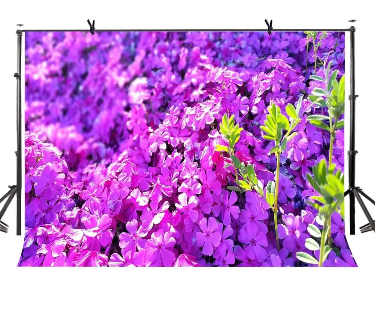 150x220cm Purple Flowers Backdrop Beautiful Luxuriant Purple Flowers Photography Background for Camera Photo Props
150x220cm Purple Flowers Backdrop Beautiful Luxuriant Purple Flowers Photography Background for Camera Photo Props
