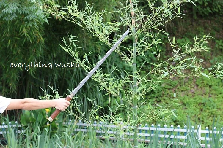 36020170621161008457