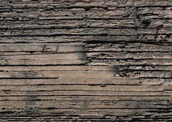 Art Fabric Photography Backdrop wallpaper Wood Floordrop Custom Photo Prop backdrop backgrounds 5ftX7ft XT-794
Art Fabric Photography Backdrop wallpaper Wood Floordrop Custom Photo Prop backdrop backgrounds 5ftX7ft XT-794