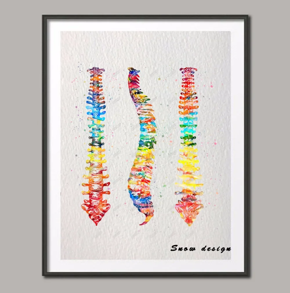 Original watercolor Human Spine canvas NON diamond painting Spinal Cord Anatomy Wall art poster print Pictures Home Decoration
Original watercolor Human Spine canvas NON diamond painting Spinal Cord Anatomy Wall art poster print Pictures Home Decoration