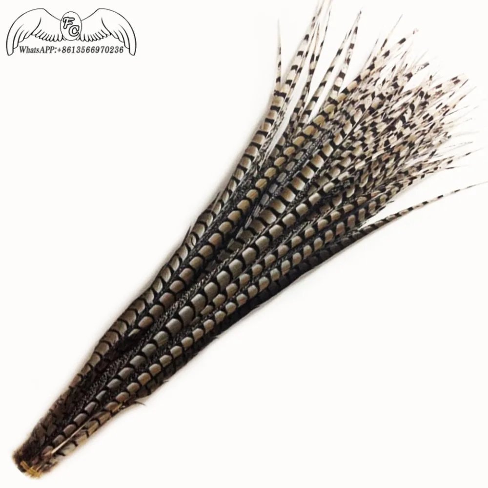 Factory Price 10pcs 80-110cm Lady Amherst Pheasant Feather For Carnival Partry Dress Decoration Natural Pheasant Feathers Plume
Factory Price 10pcs 80-110cm Lady Amherst Pheasant Feather For Carnival Partry Dress Decoration Natural Pheasant Feathers Plume