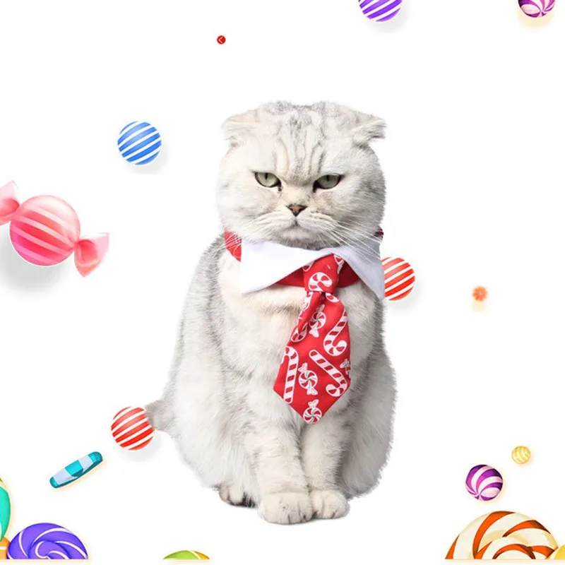 Halloween Pet Cat Dog Red Collar Dress up Party Candy Print Collar Christmas Costume Collars Pet Cat Funny Costume Accessories
Halloween Pet Cat Dog Red Collar Dress up Party Candy Print Collar Christmas Costume Collars Pet Cat Funny Costume Accessories