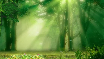 Forest backdrop Vinyl cloth High quality Computer printed custom Backgrounds for sale
Forest backdrop Vinyl cloth High quality Computer printed custom Backgrounds for sale
