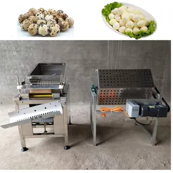 Quail Eggs Decorticating Machine Quail Egg shell Peeler machine Boiled Quail Egg Shell shaker Shaking Break Machine
Quail Eggs Decorticating Machine Quail Egg shell Peeler machine Boiled Quail Egg Shell shaker Shaking Break Machine