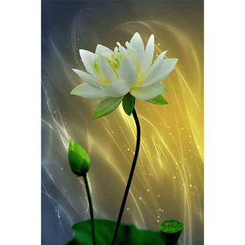 Full Square/Round Drill 5D DIY Diamond Painting "Lotus flowers" 3D Embroidery Cross Stitch 5D Rhinestone Home Decor Gift
Full Square/Round Drill 5D DIY Diamond Painting "Lotus flowers" 3D Embroidery Cross Stitch 5D Rhinestone Home Decor Gift