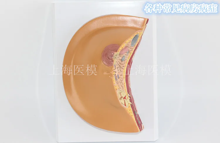 //img.alicdn.com/imgextra/i3/466366108/TB2hYu2bFXXXXa0XXXXXXXXXXXX_!!466366108.jpg