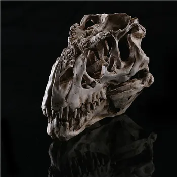 1PC Tyrannosaurus Rex Dinosaur Skull Handicrafts Resin Fossil Simulation Skull Model For Collectibles Light Color 15*11.5*8cm
1PC Tyrannosaurus Rex Dinosaur Skull Handicrafts Resin Fossil Simulation Skull Model For Collectibles Light Color 15*11.5*8cm