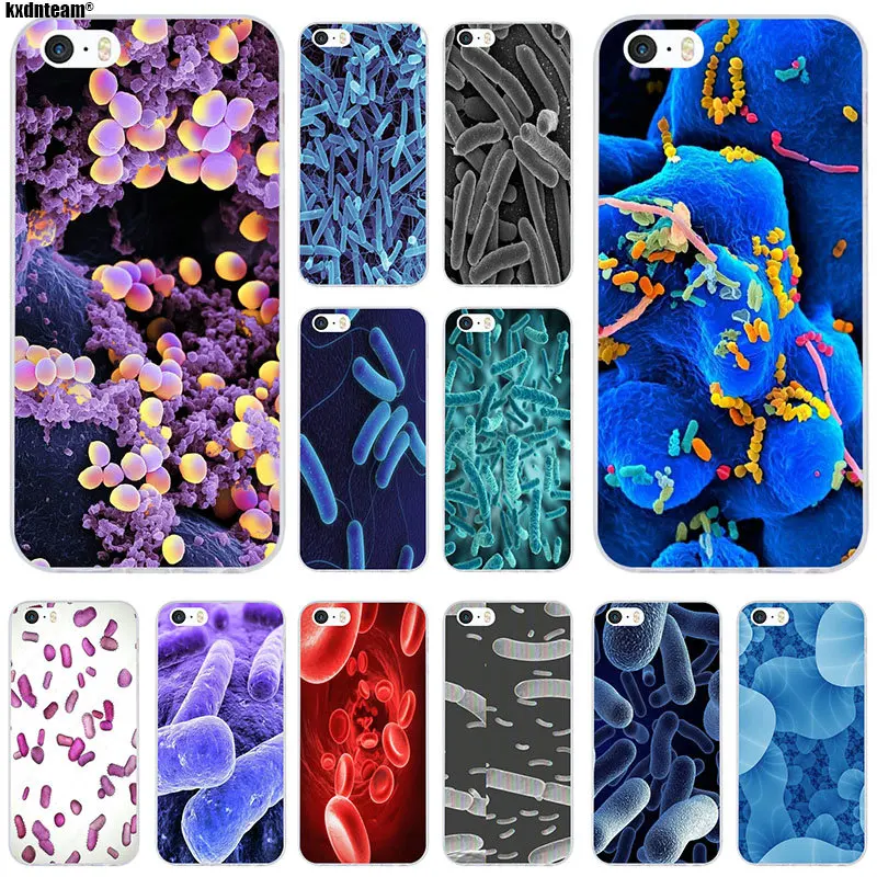 Soft TPU Silicon Transparent Mobile Phone Cases Art Cover for iPhone 6 6S 7 8 Plus X 4 4S 5 5S 5C SE Shell Microbes Red
Soft TPU Silicon Transparent Mobile Phone Cases Art Cover for iPhone 6 6S 7 8 Plus X 4 4S 5 5S 5C SE Shell Microbes Red