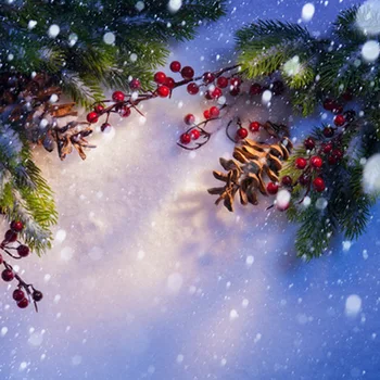 Outdoor Christmas Photography backdrops kids lovely photography backgrounds beautiful Backdrop For Photo Studio accessories
Outdoor Christmas Photography backdrops kids lovely photography backgrounds beautiful Backdrop For Photo Studio accessories