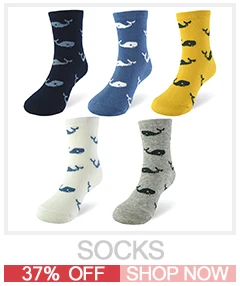 SOCKS1