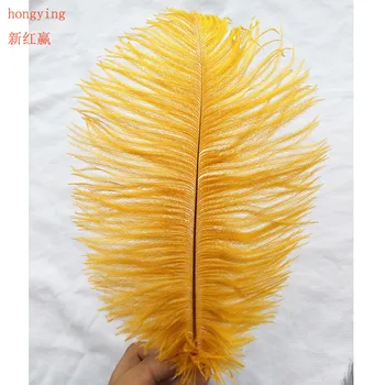 50 pcs high quality natural ostrich feather 25 to 30 cm 10 to 12 inches decorative feather wedding decoration
50 pcs high quality natural ostrich feather 25 to 30 cm 10 to 12 inches decorative feather wedding decoration