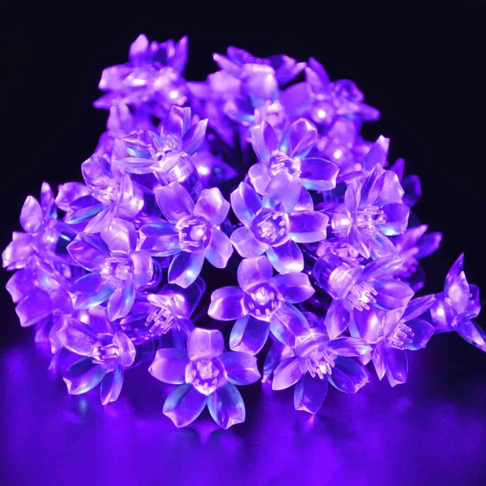 71xmltjXzDL._SL1500_