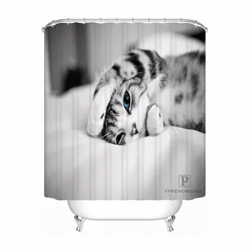 Custom Siberian Cat Waterproof Bathroom Acceptable Shower Curtain Polyester Fabric Bathroom Curtain #180318-45-42
Custom Siberian Cat Waterproof Bathroom Acceptable Shower Curtain Polyester Fabric Bathroom Curtain #180318-45-42