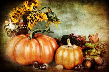 2016 New Arrival Horizontal Halloween Photography Backdrops Retro Pumpkin Photo Background For Hallowmas Party XT-4392
2016 New Arrival Horizontal Halloween Photography Backdrops Retro Pumpkin Photo Background For Hallowmas Party XT-4392