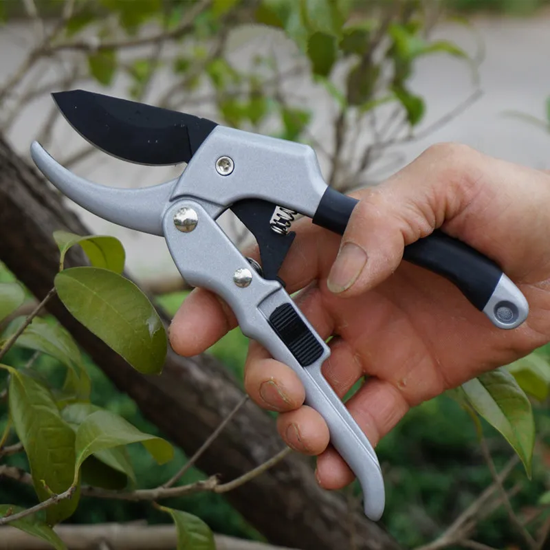 High quality fruit plant trees branch scissor bonsai grafting cutter pruning shears garden tools pruning tools
High quality fruit plant trees branch scissor bonsai grafting cutter pruning shears garden tools pruning tools