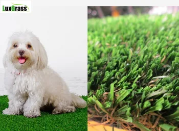 Non-toxic C shape Synthetic Lawn Grass for Pets
Non-toxic C shape Synthetic Lawn Grass for Pets