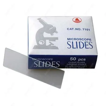 

Slide for Microscope-AmScope Supplies 50 Blank Microscope Slides With Ground Edges SKU: BS-50