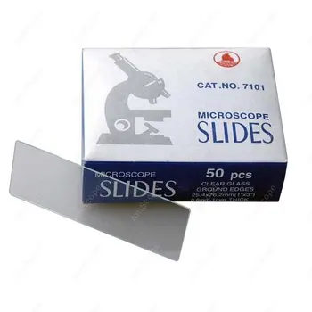 Slide for Microscope-AmScope Supplies 50 Blank Microscope Slides With Ground Edges SKU: BS-50
Slide for Microscope-AmScope Supplies 50 Blank Microscope Slides With Ground Edges SKU: BS-50