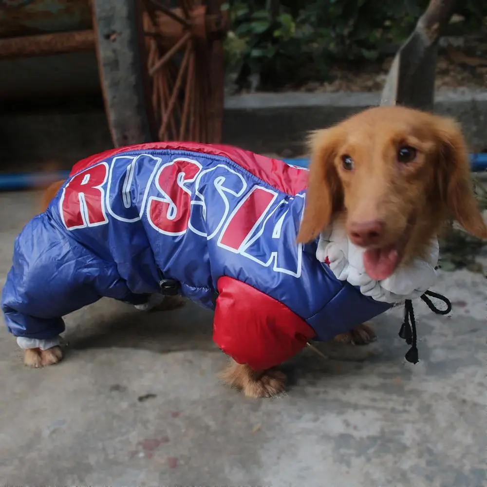Lovoyager pet clothing winter dog clothes waterproof dog jacket coat Russian windproof Dachshund dog jumpsuit
Lovoyager pet clothing winter dog clothes waterproof dog jacket coat Russian windproof Dachshund dog jumpsuit