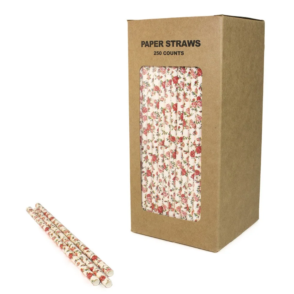 250 pcs/box Vintage Floral Paper Straws Bulk-Light Pink Flower Garden Wedding Tea Party Drinking Restaurant Juice Coffee Soda
250 pcs/box Vintage Floral Paper Straws Bulk-Light Pink Flower Garden Wedding Tea Party Drinking Restaurant Juice Coffee Soda
